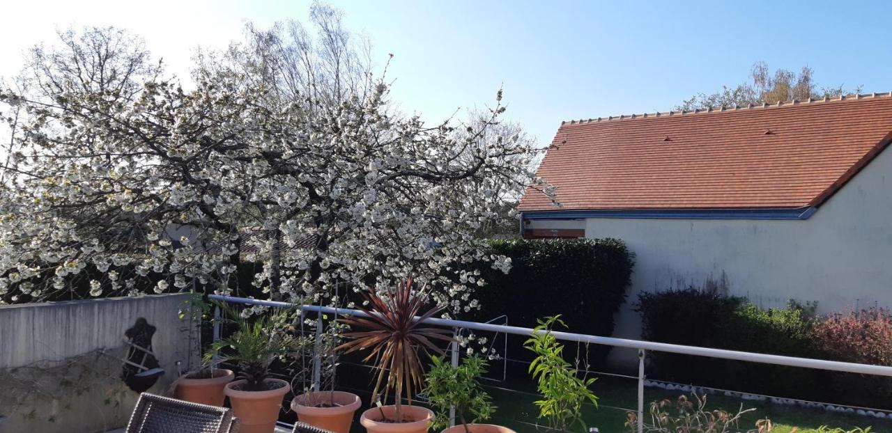 Chambre D'Hote - La Ruche Des Bleuets Mulsanne Exteriér fotografie